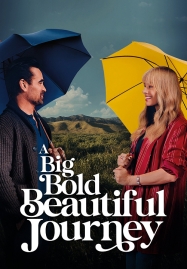 A Big Bold Beautiful Journey (2025)