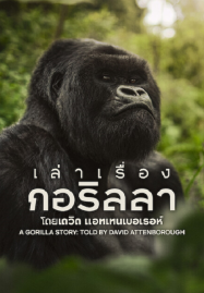 A Gorilla Story (2026) เล่าเรื่องกอริลลา โดยเดวิด แอทเทนเบอเรอห์ เซอร์เดวิด