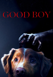Good Boy (2025) มะหมาเห็นผี