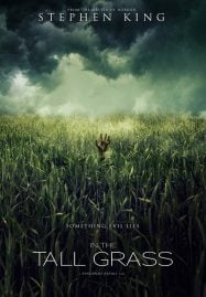 In the Tall Grass (2019) พงหลอนมรณะ