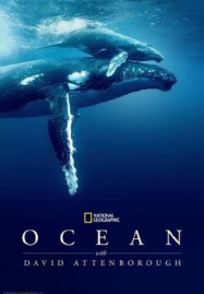Ocean with David Attenborough (2025)